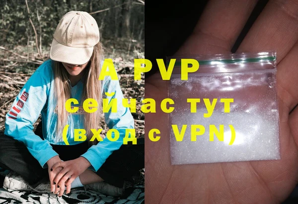 прущие грибы Абинск
