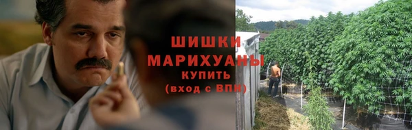 прущие грибы Абинск