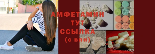 прущие грибы Абинск