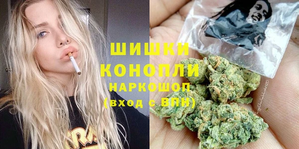 прущие грибы Абинск