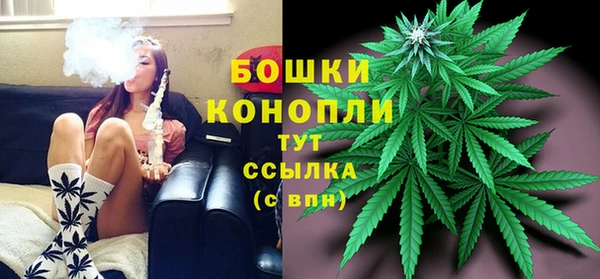 прущие грибы Абинск