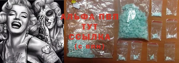прущие грибы Абинск