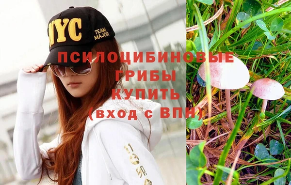 экстази Абаза