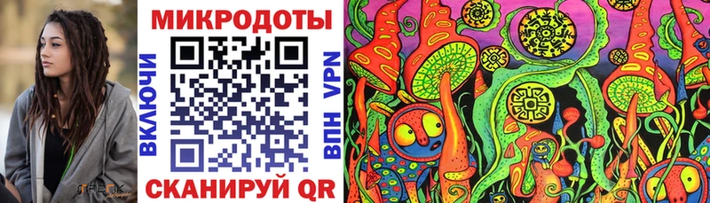 Псилоцибиновые грибы Psilocybe  даркнет сайт  Алагир 